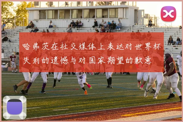 哈弗茨在社交媒体上表达对世界杯失利的遗憾与对国家期望的歉意