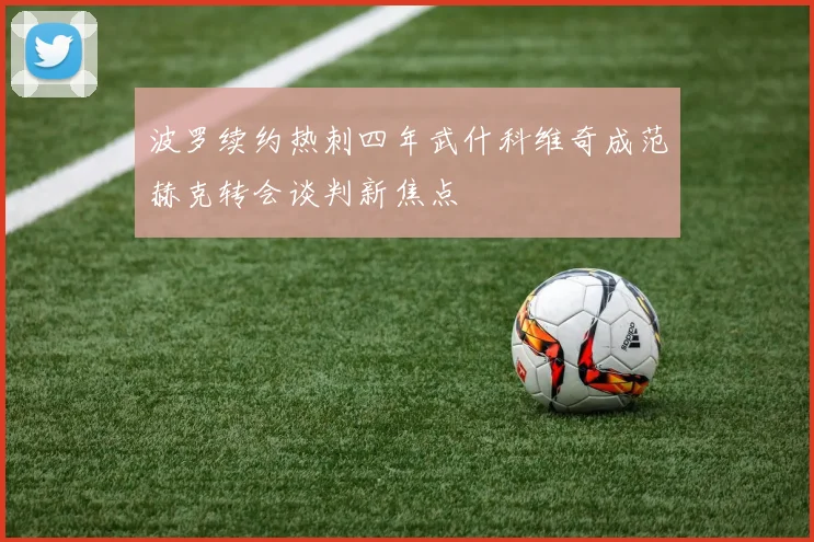 波罗续约热刺四年武什科维奇成范赫克转会谈判新焦点